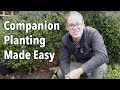 Thumbnail for Companion Planting Made Easy