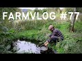 Thumbnail for Why we plant COMFREY EVERYWHERE! | FOOD FOREST PERMACULTURE FARM & NO DIG...