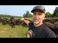 Thumbnail for Yellowstone? Yeah Right! A Real Day On A North Carolina Ranch | Hard Work...
