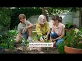 Thumbnail for "What is Compost and How It Can Transform Your Garden"