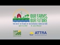 Thumbnail for Multi-Species Grazing at Big Spring Farm - Greg Brann