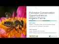 Thumbnail for Establishing Pollinator Habitat on Organic Farms