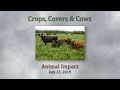 Thumbnail for CCC Animal Impact