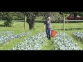 Thumbnail for Webinar: Common Noncompliances in Organic Crops Operations & How to Avoid Them
