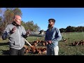 Thumbnail for The BEST Pastured Poultry System Out There - Truly Free Range