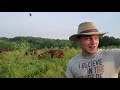 Thumbnail for Check out the 50 day regrowth comparison after clipping versus no clipping...