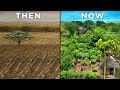 Thumbnail for How 8,000 Food Forests Grew Africa's Great Green Wall