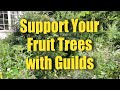 Thumbnail for Function AND Beauty with Fruit Tree Guilds!