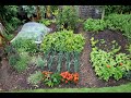 Thumbnail for Small Garden mid summer, with timesaving tips for succession planting