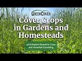 Thumbnail for Cover Crops in Gardens and Homesteads