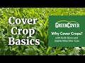 Thumbnail for Cover Crop Basics Part 1: Why Plant Cover Crops?