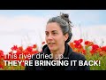 Thumbnail for How to bring a river back to life - using the power of Community &...