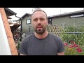 Thumbnail for Major Design Improvement to Our Wicking Beds