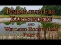 Thumbnail for Permaculture Earthworks and Wetland Ecosystems Part 3