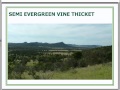 Thumbnail for "How do we practically regenerate our soil health?" - Soil health webinar Part 2