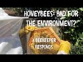 Thumbnail for Is Beekeeping Ecologically Irresponsible? A Sustainable Beekeeper’s Thoughts