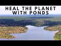 Thumbnail for Heal the Planet with PONDS