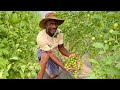 Thumbnail for Growers Live - Howard Allen (Faithfull Farms) - 7/20/21