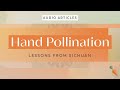 Thumbnail for Hand Pollination: Lessons From Sichuan | FoodUnfolded AudioArticle