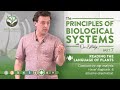 Thumbnail for Workshop: Principles & Practices of Biological Management (7 of 9)