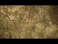 Thumbnail for Keep the Soil Covered