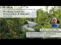 Thumbnail for Decades of research on agroforestry's ecosystem services