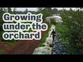 Thumbnail for BEAUTIFUL FARM UNDER THE TREES IN LUXEMBOURG
