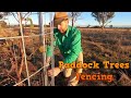 Thumbnail for Protecting Paddock Trees with Easy Fencing Ideas