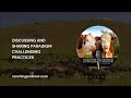 Thumbnail for Ep. 251 – Dan Rasmussen – The Journey Toward More Positive Management | Working Cows