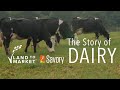 Thumbnail for The Story of Dairy | Regenerative Agriculture Documentary