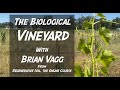 Thumbnail for A COMPOST POWERED Vineyard with Brian Vagg | Regenerative Soil