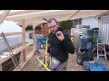 Thumbnail for Here Are My TOP TOOLS For Urban Farming