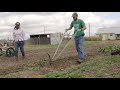 Thumbnail for Manage Weeds on Your Farm: Hand Tools in the Market Garden at Terra Preta Farm