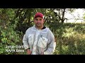 Thumbnail for Santa Fe Trail Farms Cover Crops, Soil Health and Honeybees