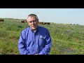 Thumbnail for Livestock Integration