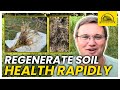 Thumbnail for Cover Crops: Best Way to Regenerate Soil Health Quickly