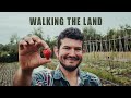 Thumbnail for Andres Jara – Walking the land of market garden De Stadsgroenteboer with a...