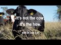 Thumbnail for The most powerful tool to regenerate land - Dr Judi Earl