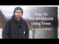 Thumbnail for How To Fix Nitrogen on Your Property with Trees & Shrubs by Mark Krawczyk