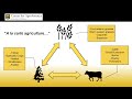 Thumbnail for Silvopasture - The Power of Livestock with Trees | Dr. Ashley Conway