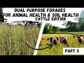 Thumbnail for Dual Purpose Forages for Livestock Health & Soil Part 3 (Final)