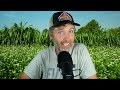 Thumbnail for Squirrels Are the Worst + How and Why to Use Buckwheat as a Cover Crop