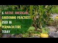 Thumbnail for 6 Permaculture Techniques from Native American Agriculture