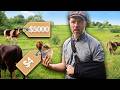Thumbnail for $4 vs $5,000 Farm Animals
