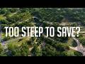 Thumbnail for EP1: Transforming a Texas Hillside: Swales, Berms & Food Forest Beginnings