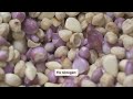 Thumbnail for "From Dust to Life: Soil Restoration Essentials"