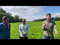 Thumbnail for Organic No-Till Practice, Interview (English/Spanish Subtitles)