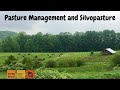 Thumbnail for Pasture Management and Silvopasture at Square Roots Farm with Michael...