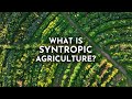 Thumbnail for Syntropic Agriculture & How It Can Transform the Future of Farming | Joshua Sparkes