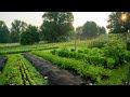 Thumbnail for Regenerative Agriculture on a Small Scale | What it Looks Like